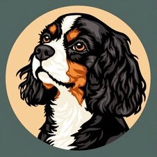 Cavalier King Charles Spaniel SVG